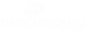Derichebourg